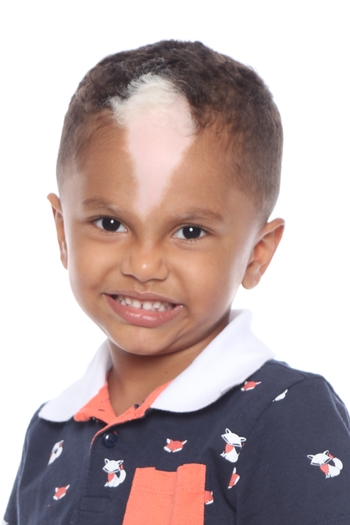 HENRIQUE RODRIGUES FEIJÓ ARAUJO