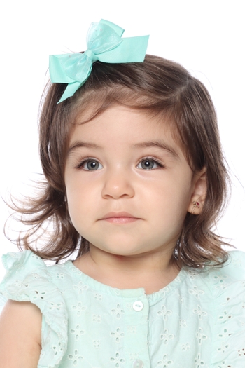 GABRIELA MARTINS DE ARAUJO SILVA