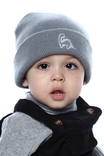 Levi Vieira Guarilha