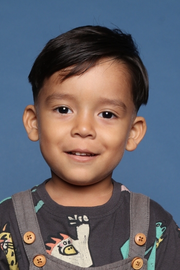 Davi Luis Diniz Lobo