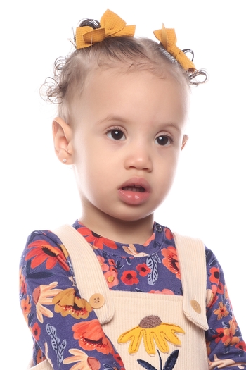 Sophia Britto Rodrigues Monteiro
