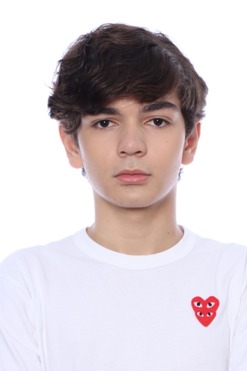 Luiz Davi Figueiredo C. C Santos