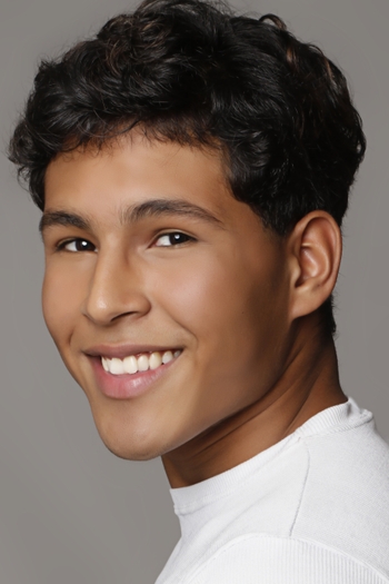 Ronaldo dos S. N. de Araujo Filho