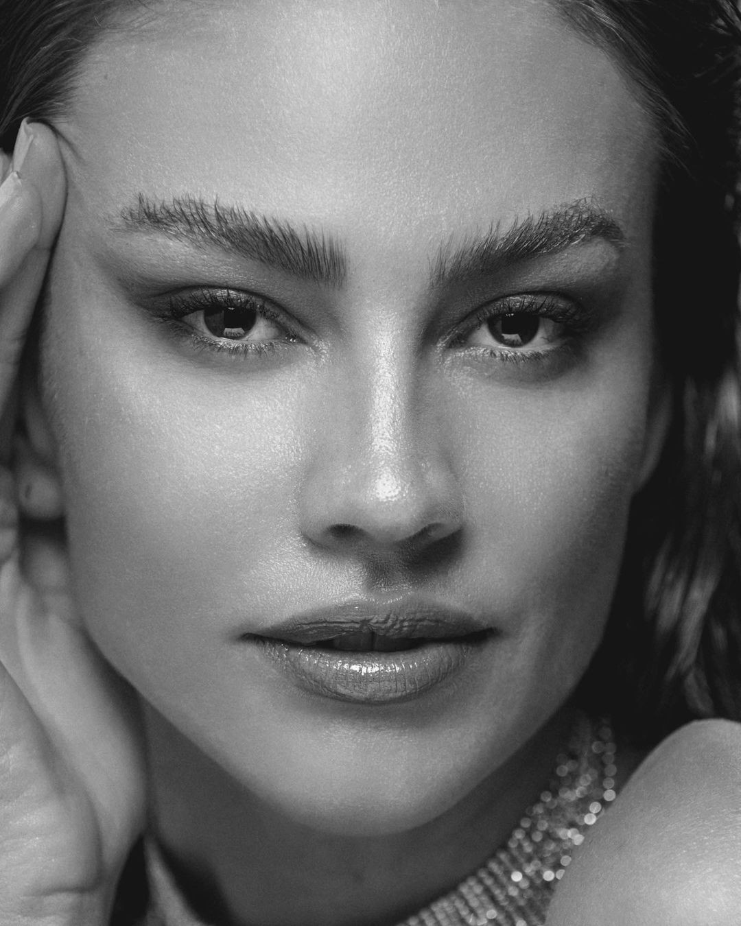 FLAVIA CONSALTER